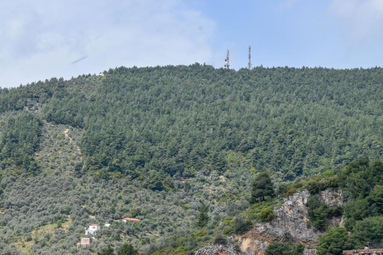 Zoe'S Flat Megali Ammos Apartment Skiathos Town Bagian luar foto